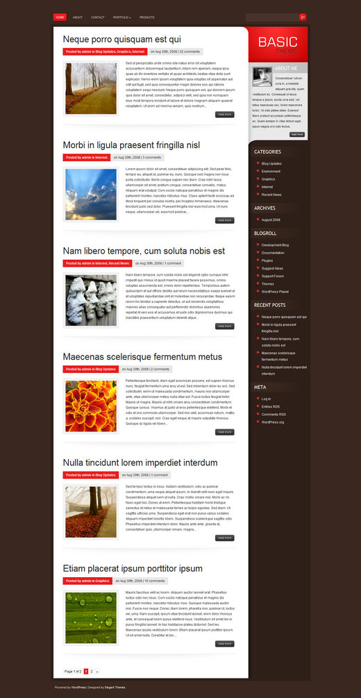 basic-wordpress-premium-theme