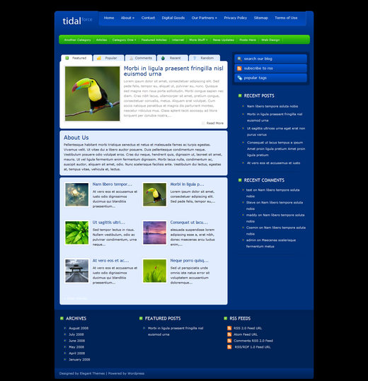 tidal-force-wordpress-premium-theme